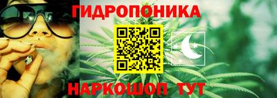 крисы Заводоуковск