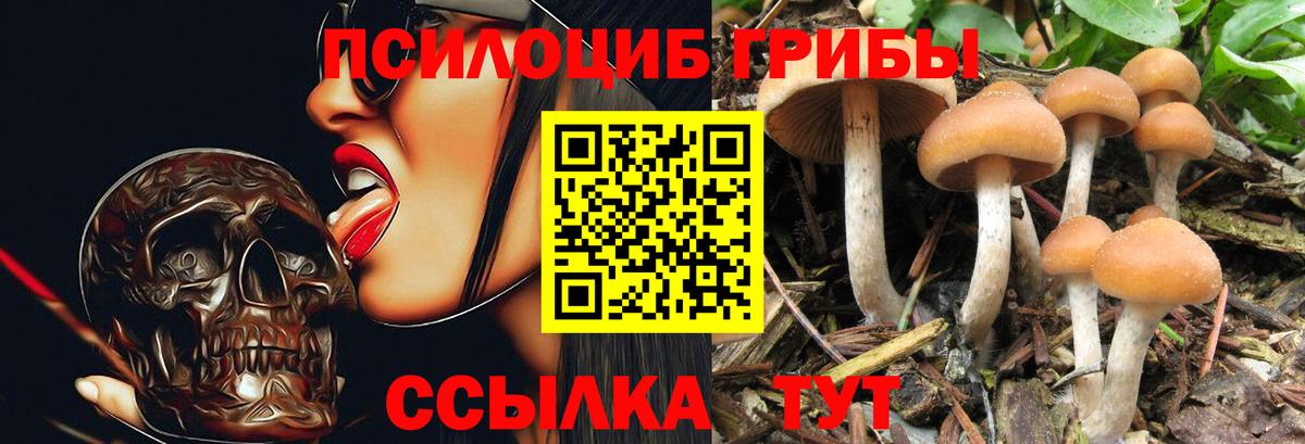 Псилоцибиновые грибы ЛСД  Вход с VPN  купить  сайты  Псилоцибиновые грибы Psilocybe  Лыткарино 